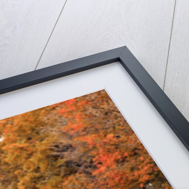 Bridge over a canal by Assaf Frank